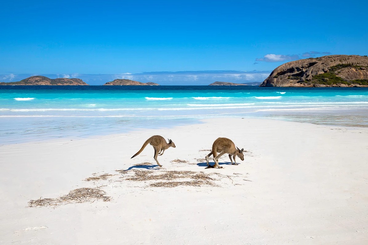 playtravel-deal-carnival-coastlines-vineyards-cruise